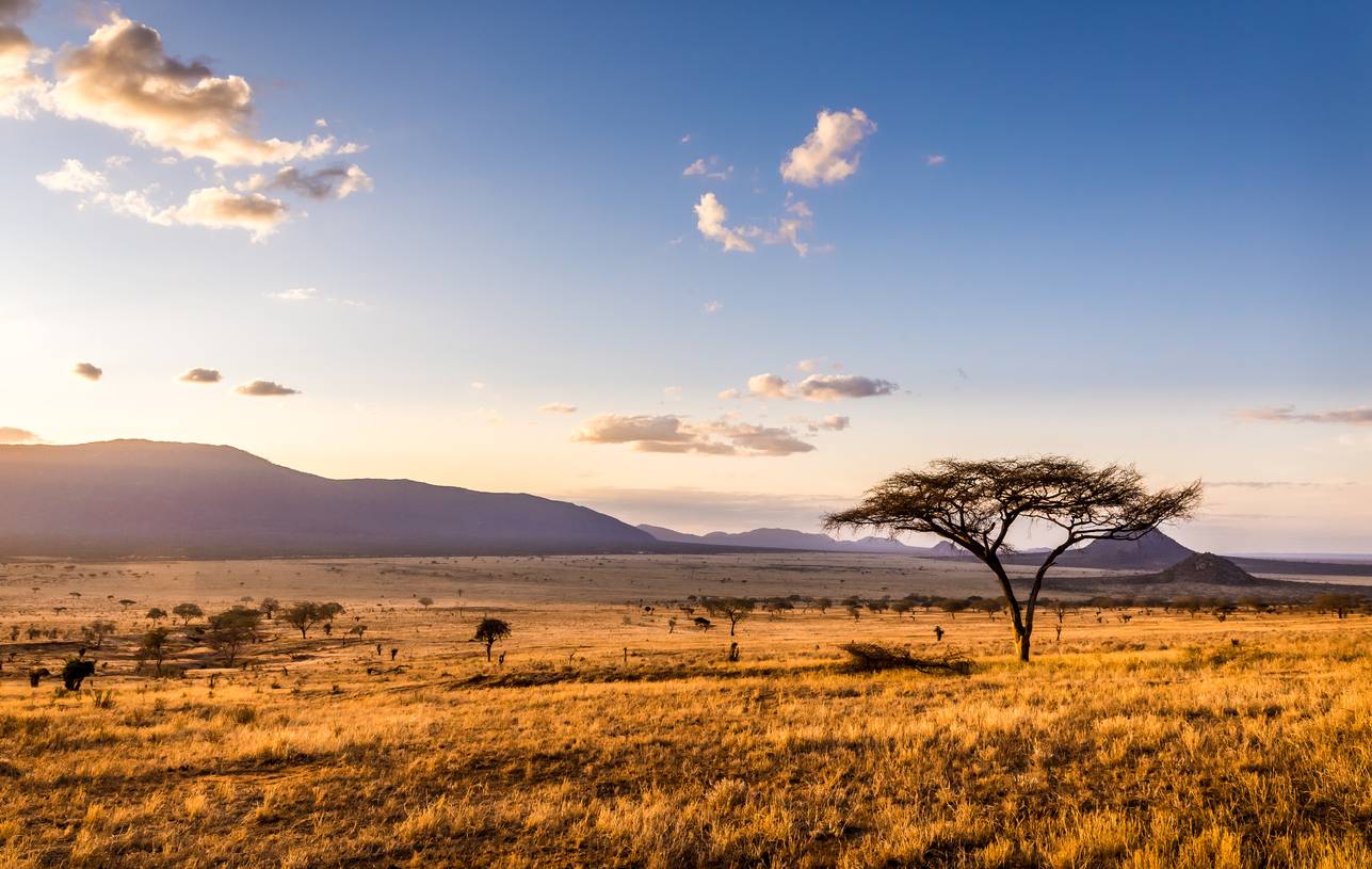 voyage au Kenya