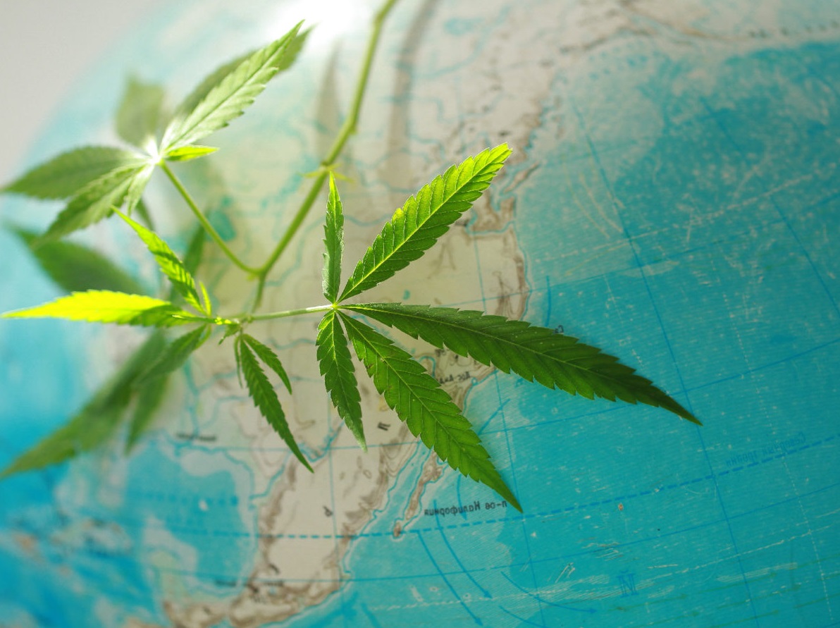 cannabis monde légalisation